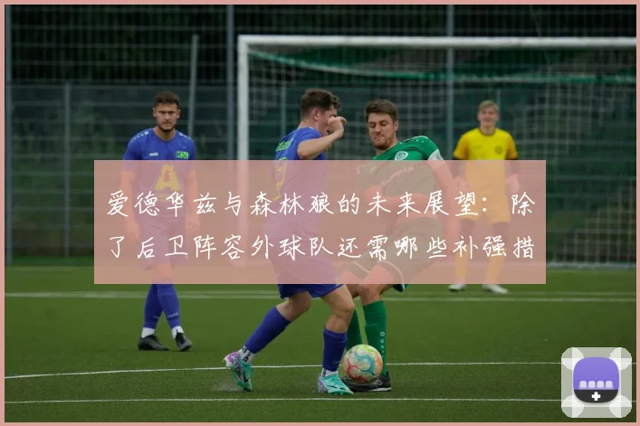 爱德华兹与森林狼的未来展望：除了后卫阵容外球队还需哪些补强措施